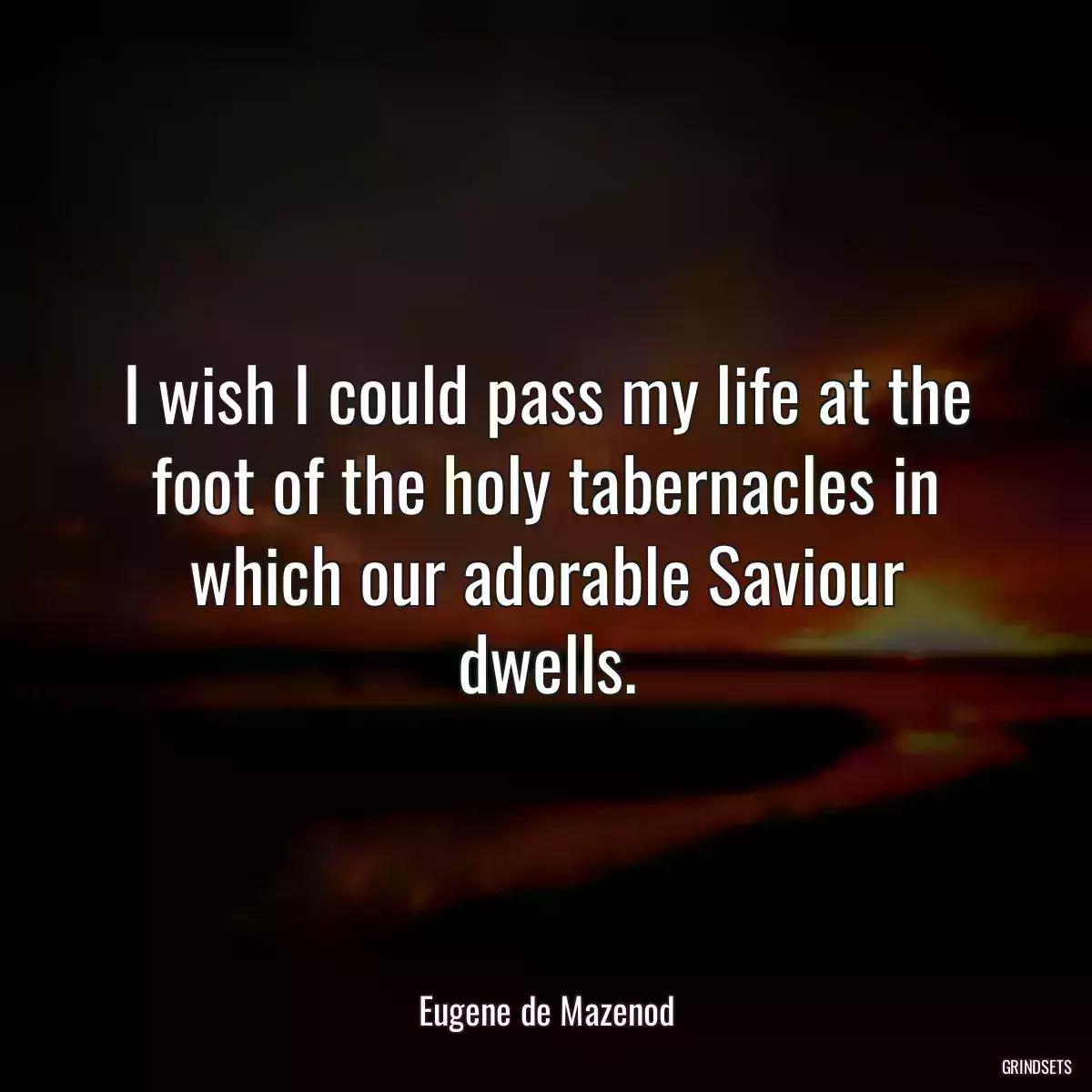 I wish I could pass my life at the foot of the holy tabernacles in which our adorable Saviour dwells.