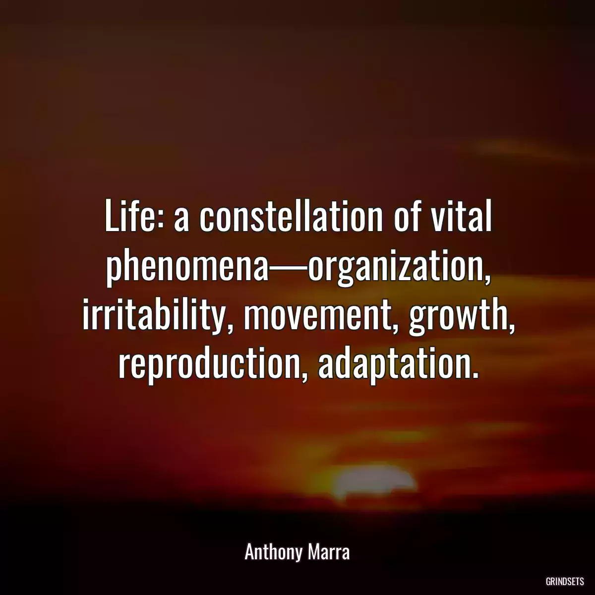 Life: a constellation of vital phenomena—organization, irritability, movement, growth, reproduction, adaptation.