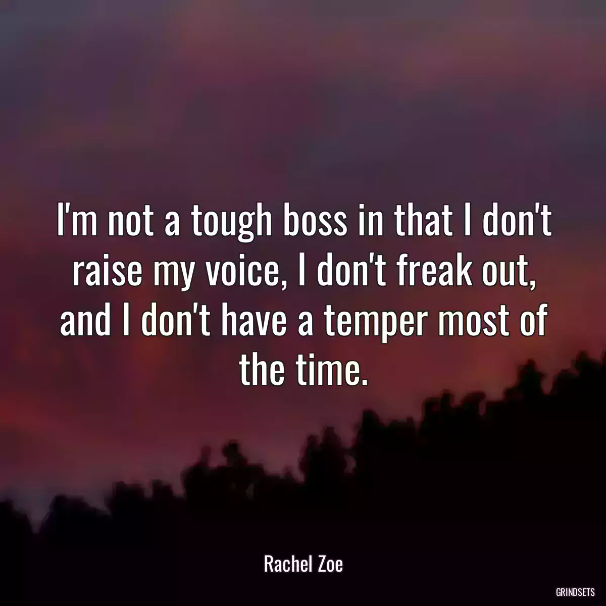 I\'m not a tough boss in that I don\'t raise my voice, I don\'t freak out, and I don\'t have a temper most of the time.