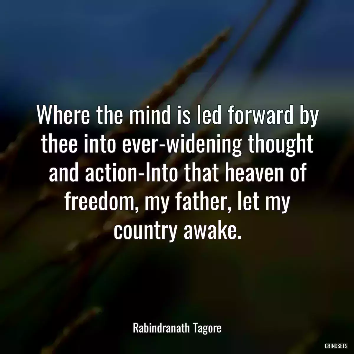 Where the mind is led forward by thee into ever-widening thought and action-Into that heaven of freedom, my father, let my country awake.