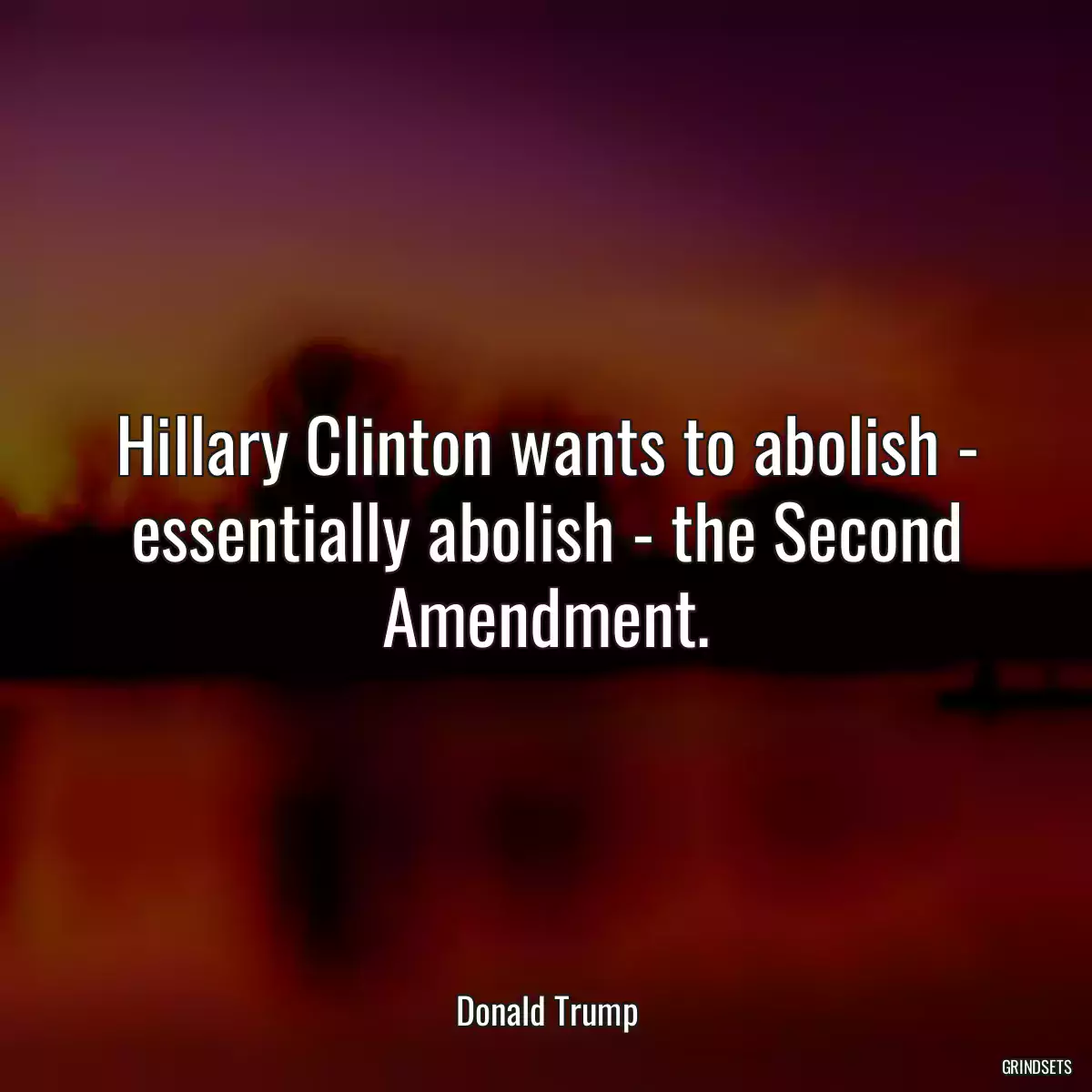 Hillary Clinton wants to abolish - essentially abolish - the Second Amendment.