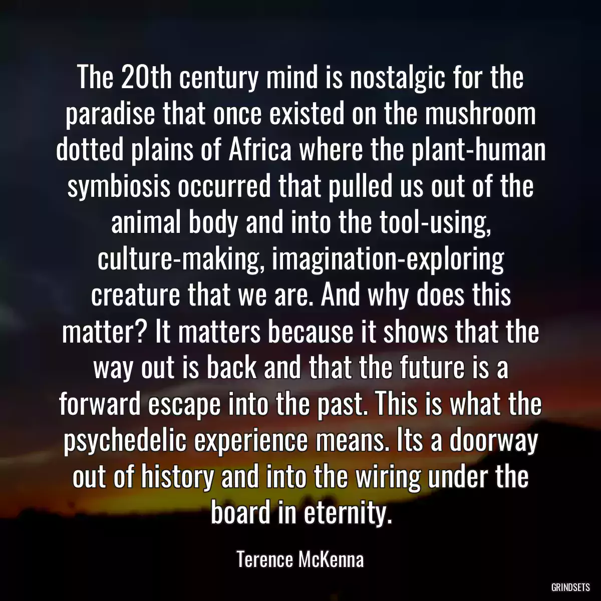 The 20th century mind is nostalgic for the paradise that once existed on the mushroom dotted plains of Africa where the plant-human symbiosis occurred that pulled us out of the animal body and into the tool-using, culture-making, imagination-exploring creature that we are. And why does this matter? It matters because it shows that the way out is back and that the future is a forward escape into the past. This is what the psychedelic experience means. Its a doorway out of history and into the wiring under the board in eternity.