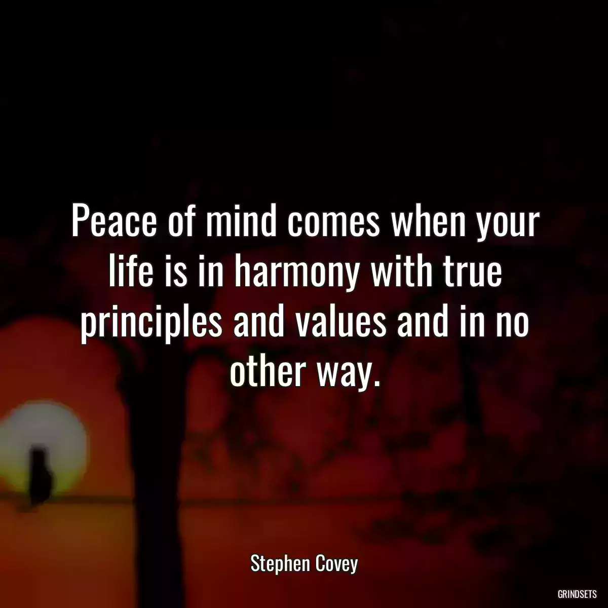 Peace of mind comes when your life is in harmony with true principles and values and in no other way.