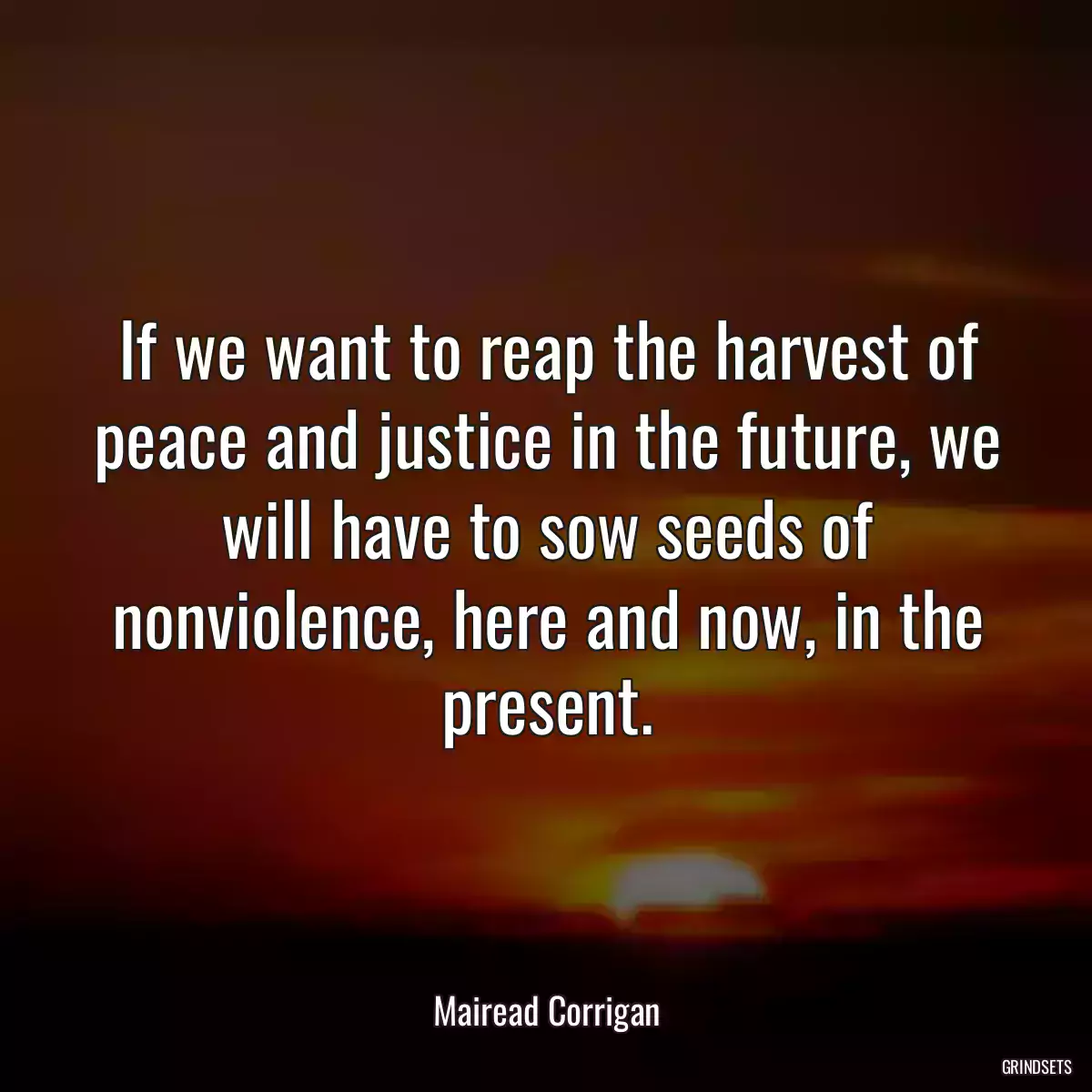 If we want to reap the harvest of peace and justice in the future, we will have to sow seeds of nonviolence, here and now, in the present.