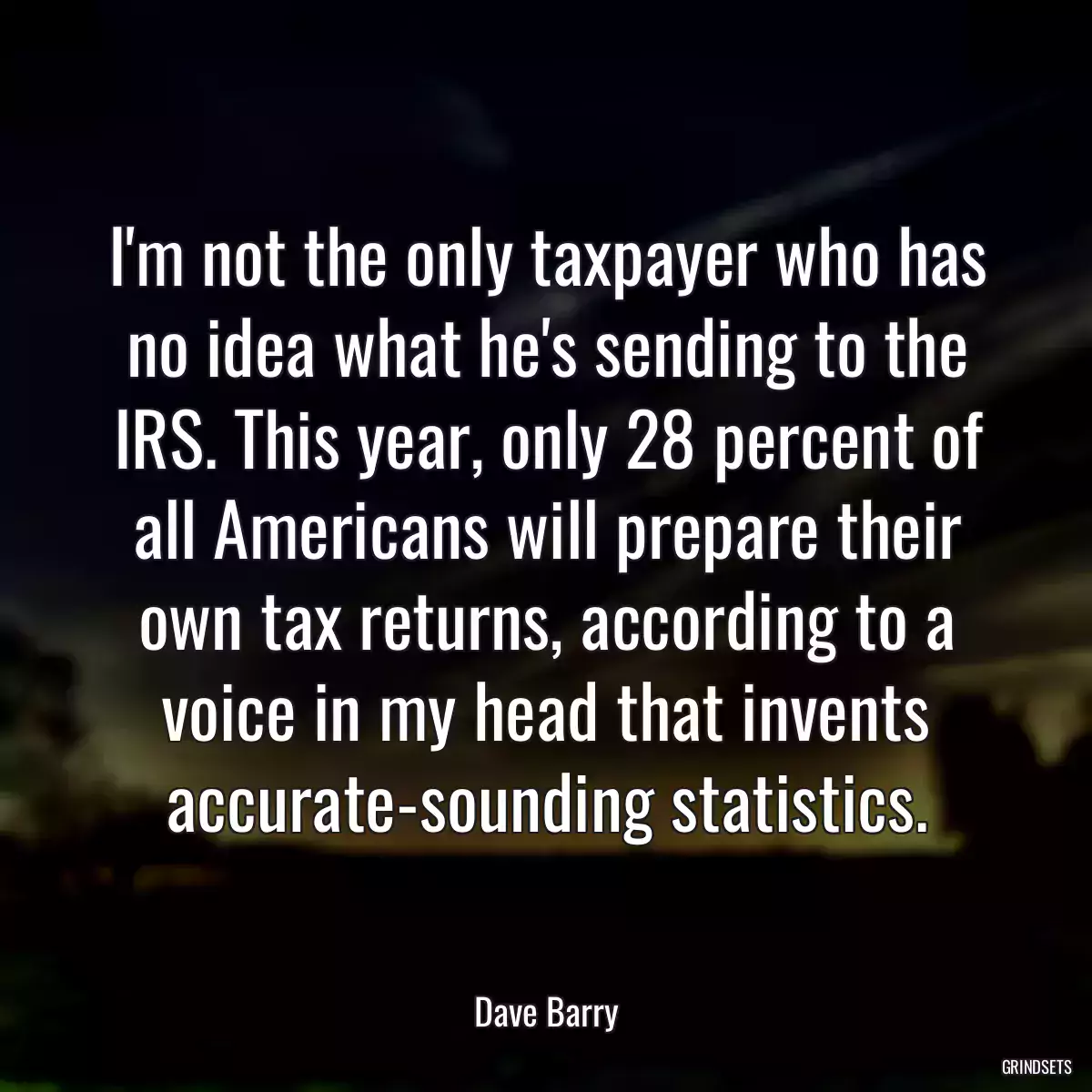 I\'m not the only taxpayer who has no idea what he\'s sending to the IRS. This year, only 28 percent of all Americans will prepare their own tax returns, according to a voice in my head that invents accurate-sounding statistics.