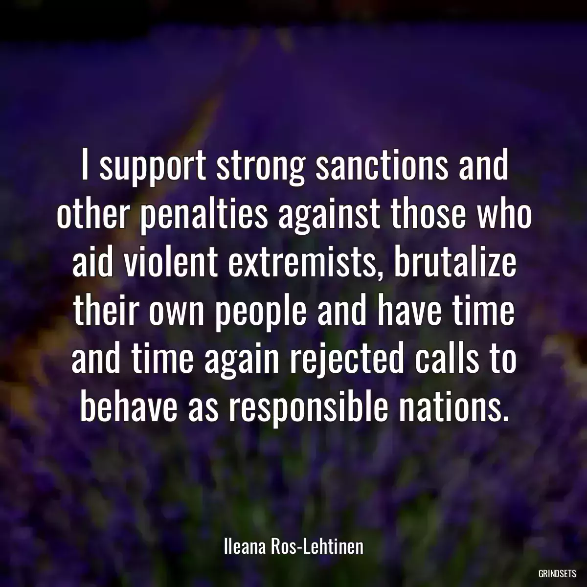 I support strong sanctions and other penalties against those who aid violent extremists, brutalize their own people and have time and time again rejected calls to behave as responsible nations.