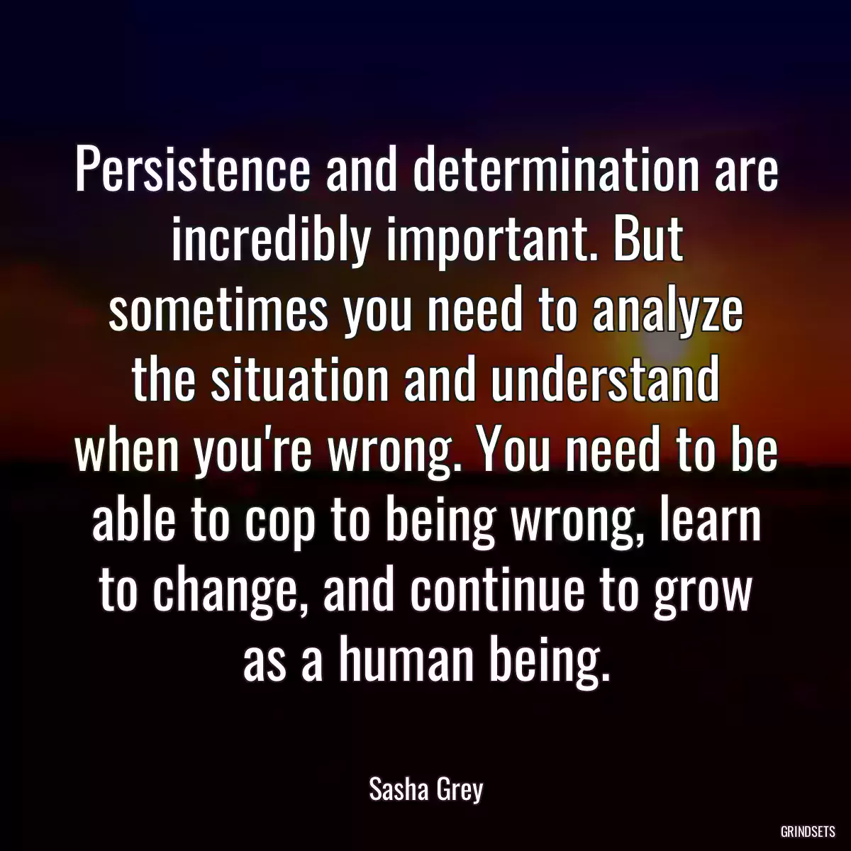 Persistence and determination are incredibly important. But sometimes you need to analyze the situation and understand when you\'re wrong. You need to be able to cop to being wrong, learn to change, and continue to grow as a human being.