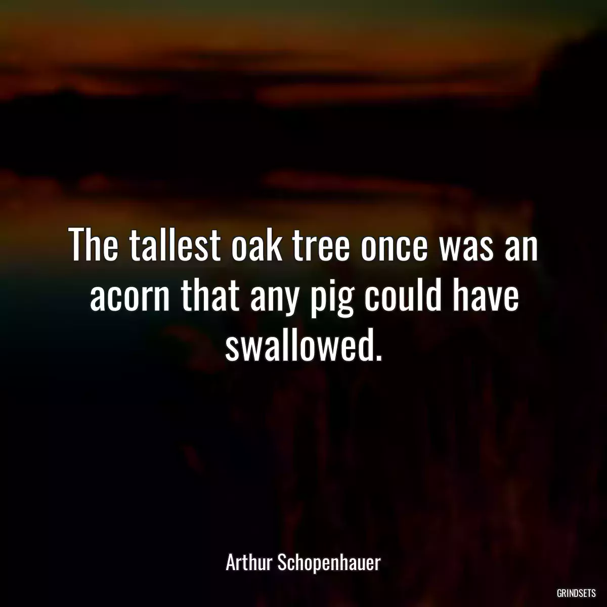 The tallest oak tree once was an acorn that any pig could have swallowed.