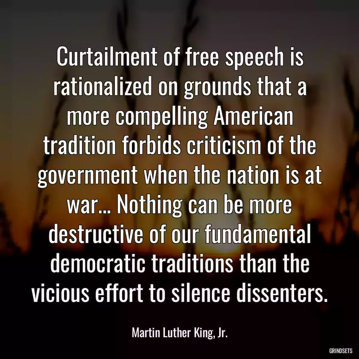 Curtailment of free speech is rationalized on grounds that a more compelling American tradition forbids criticism of the government when the nation is at war... Nothing can be more destructive of our fundamental democratic traditions than the vicious effort to silence dissenters.