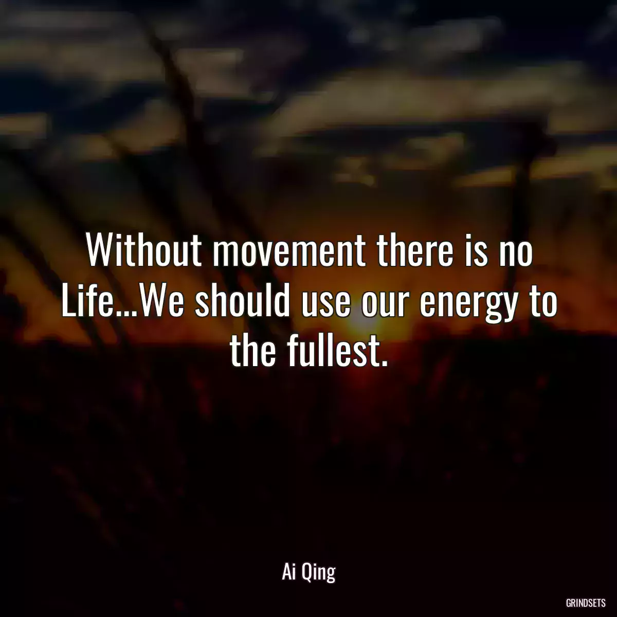 Without movement there is no Life...We should use our energy to the fullest.