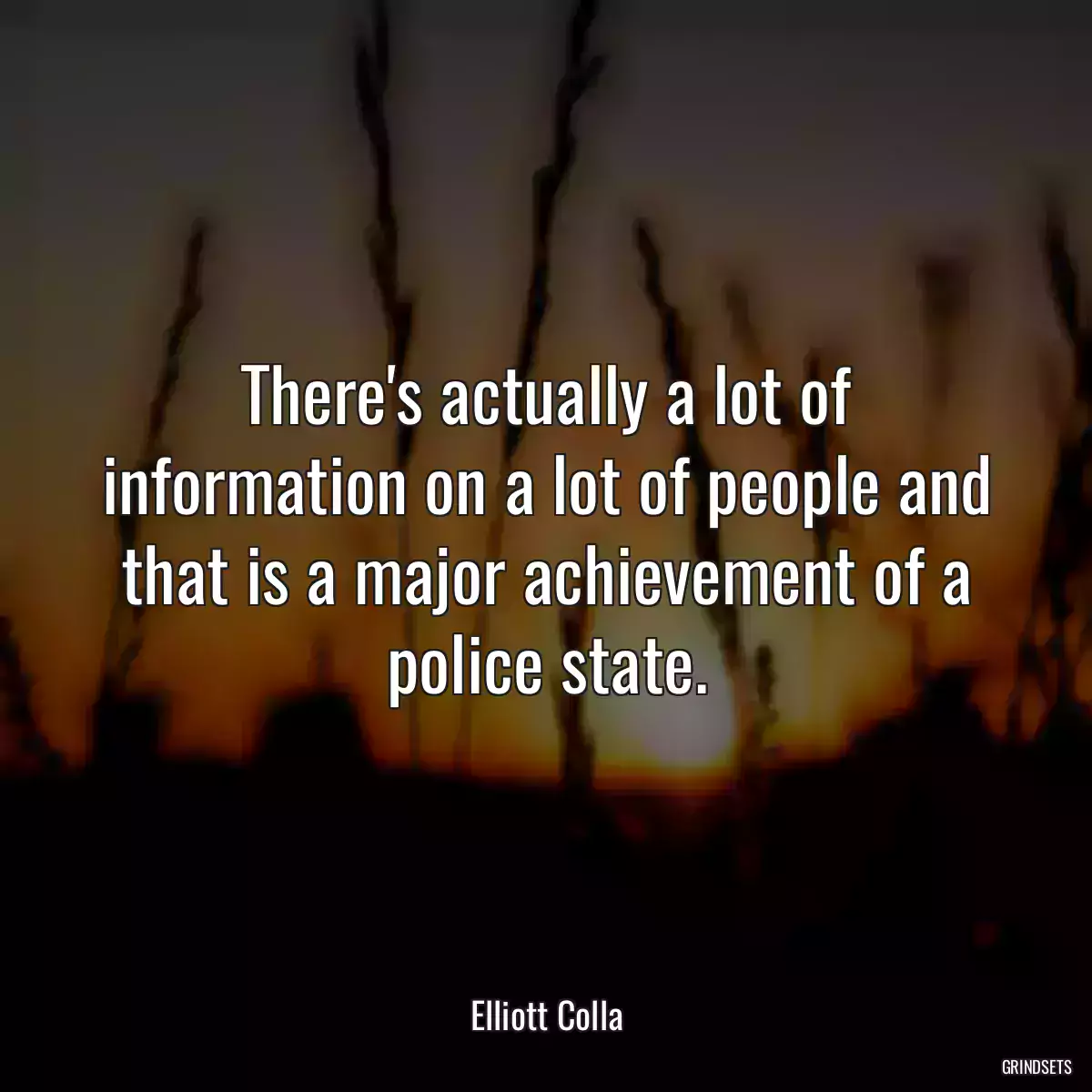 There\'s actually a lot of information on a lot of people and that is a major achievement of a police state.