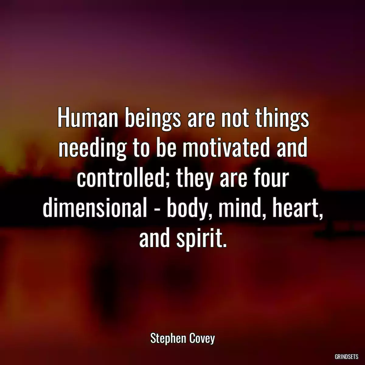 Human beings are not things needing to be motivated and controlled; they are four dimensional - body, mind, heart, and spirit.