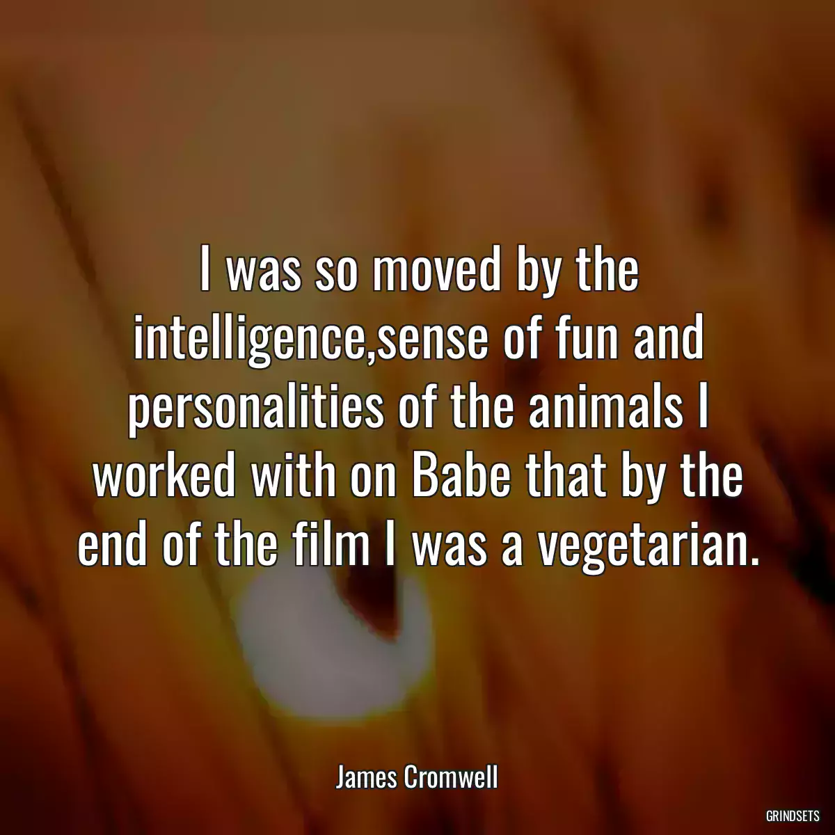 I was so moved by the intelligence,sense of fun and personalities of the animals I worked with on Babe that by the end of the film I was a vegetarian.