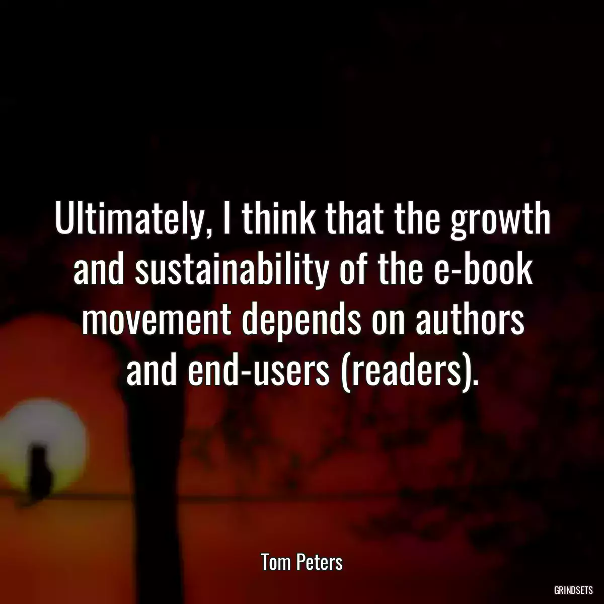 Ultimately, I think that the growth and sustainability of the e-book movement depends on authors and end-users (readers).