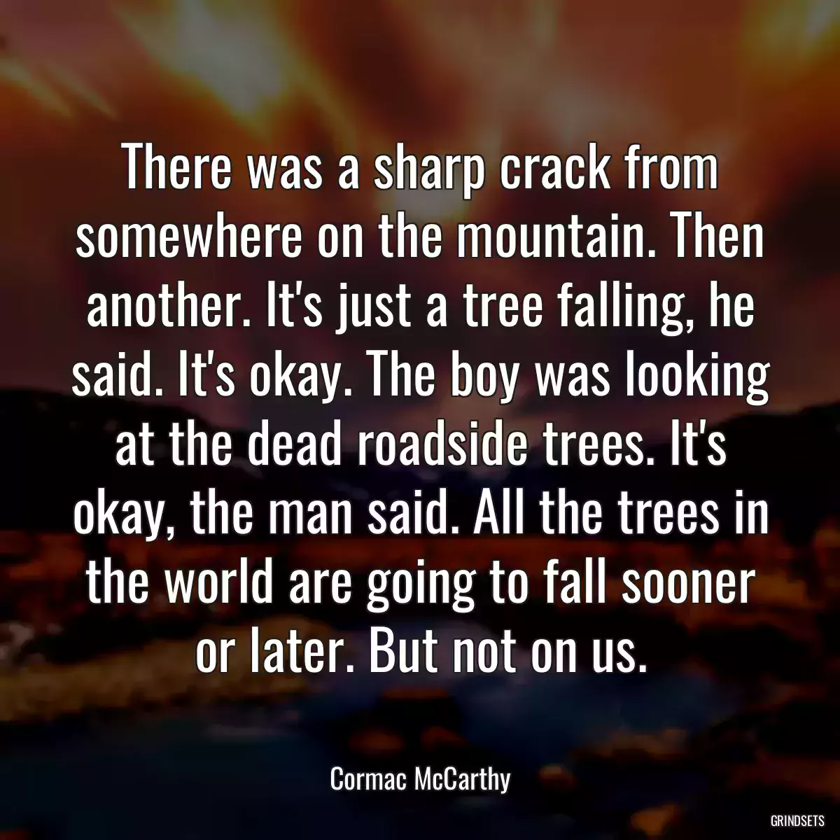 There was a sharp crack from somewhere on the mountain. Then another. It\'s just a tree falling, he said. It\'s okay. The boy was looking at the dead roadside trees. It\'s okay, the man said. All the trees in the world are going to fall sooner or later. But not on us.