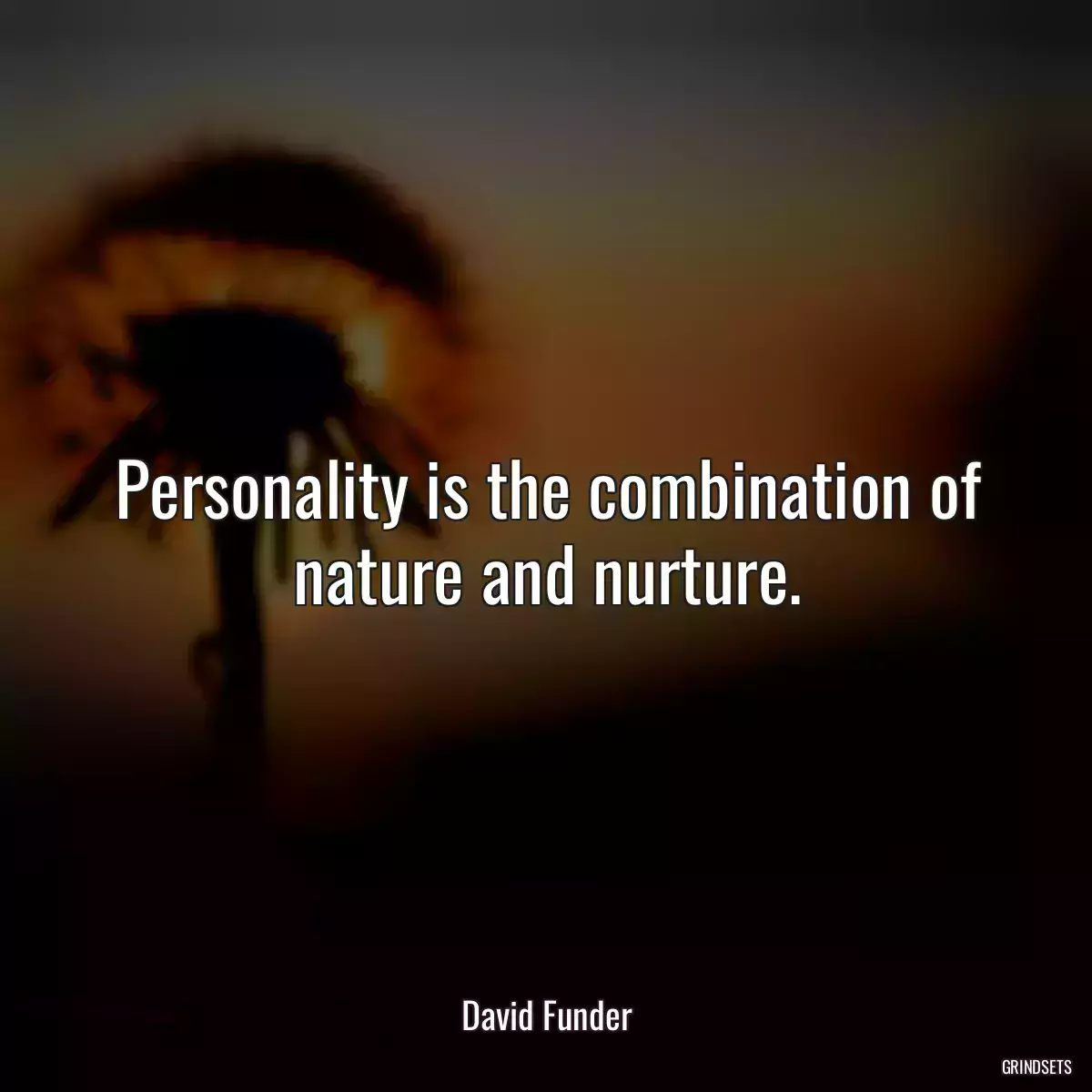 Personality is the combination of nature and nurture.