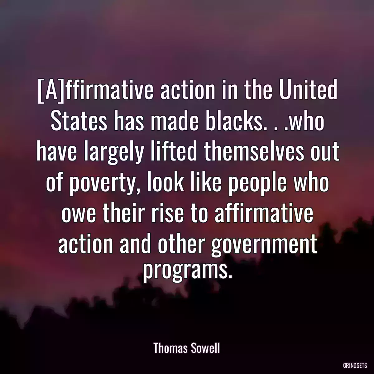 [A]ffirmative action in the United States has made blacks. . .who have largely lifted themselves out of poverty, look like people who owe their rise to affirmative action and other government programs.