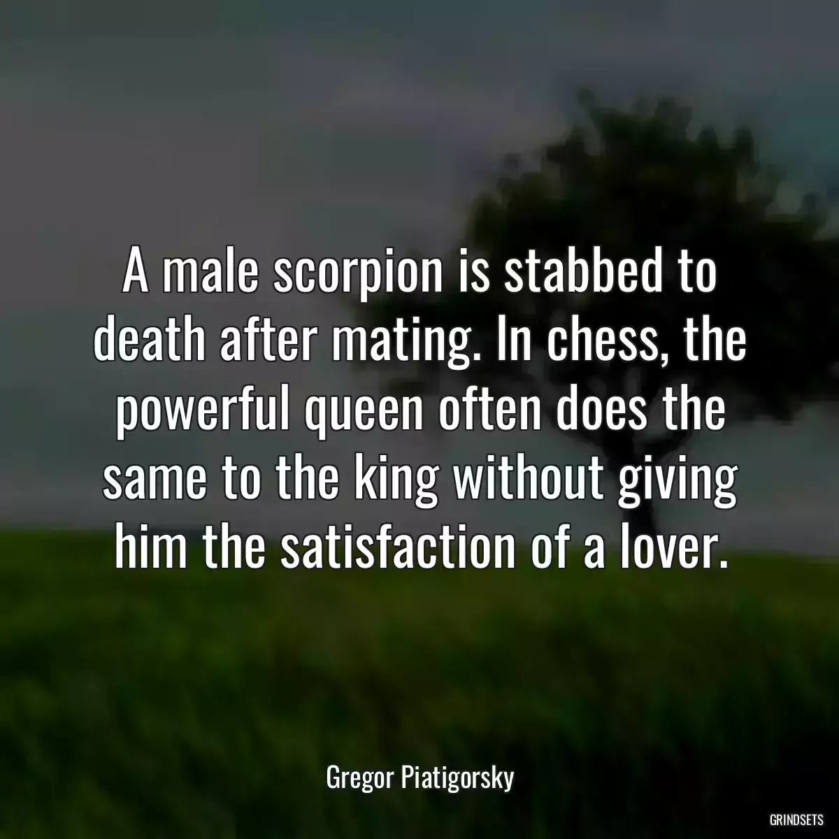 A male scorpion is stabbed to death after mating. In chess, the powerful queen often does the same to the king without giving him the satisfaction of a lover.