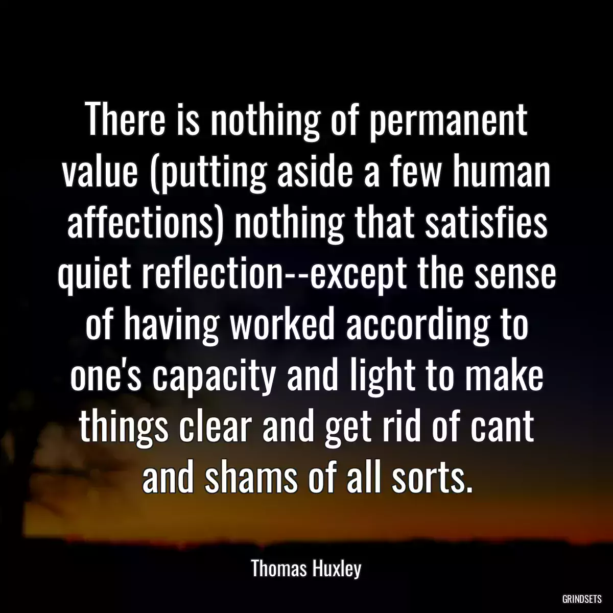 There is nothing of permanent value (putting aside a few human affections) nothing that satisfies quiet reflection--except the sense of having worked according to one\'s capacity and light to make things clear and get rid of cant and shams of all sorts.