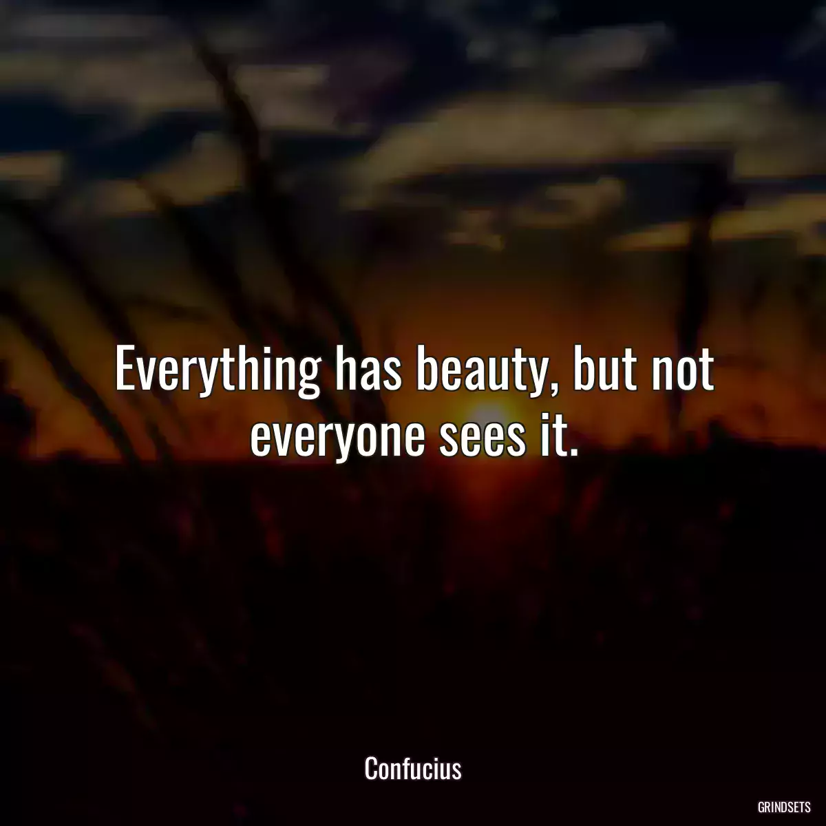 Everything has beauty, but not everyone sees it.