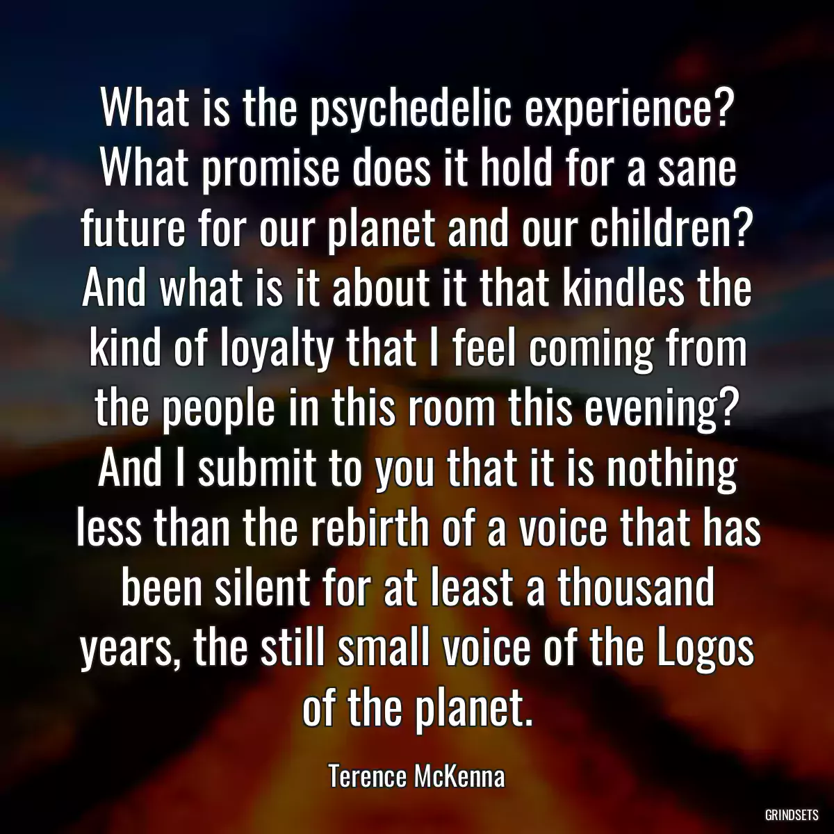 What is the psychedelic experience? What promise does it hold for a sane future for our planet and our children? And what is it about it that kindles the kind of loyalty that I feel coming from the people in this room this evening? And I submit to you that it is nothing less than the rebirth of a voice that has been silent for at least a thousand years, the still small voice of the Logos of the planet.