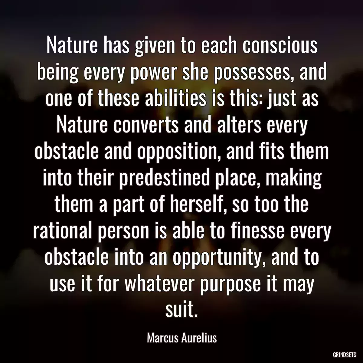 Nature has given to each conscious being every power she possesses, and one of these abilities is this: just as Nature converts and alters every obstacle and opposition, and fits them into their predestined place, making them a part of herself, so too the rational person is able to finesse every obstacle into an opportunity, and to use it for whatever purpose it may suit.