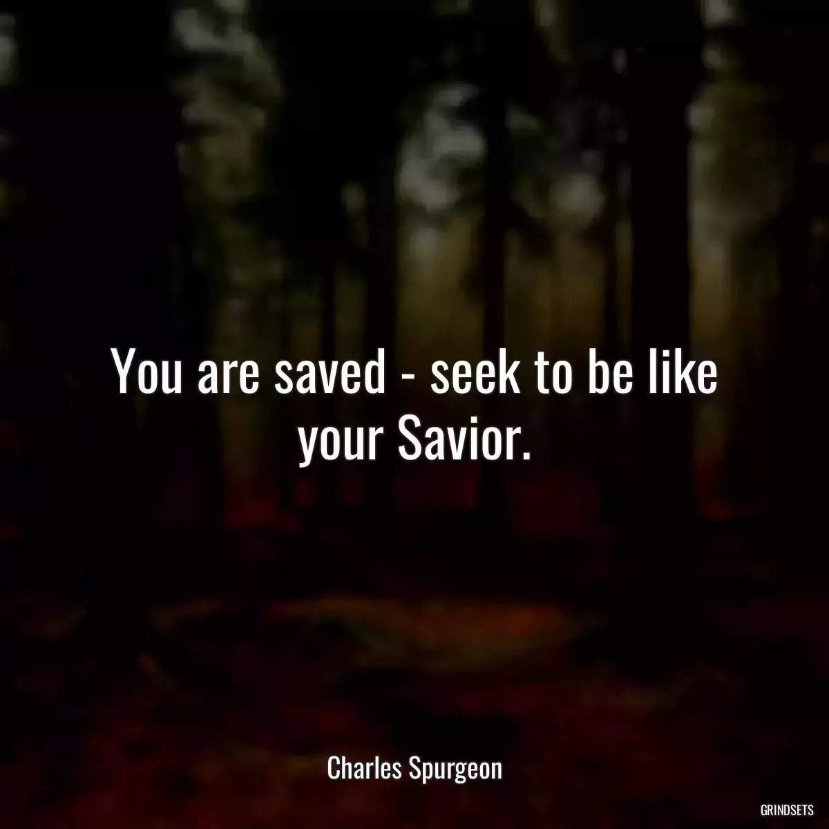 You are saved - seek to be like your Savior.