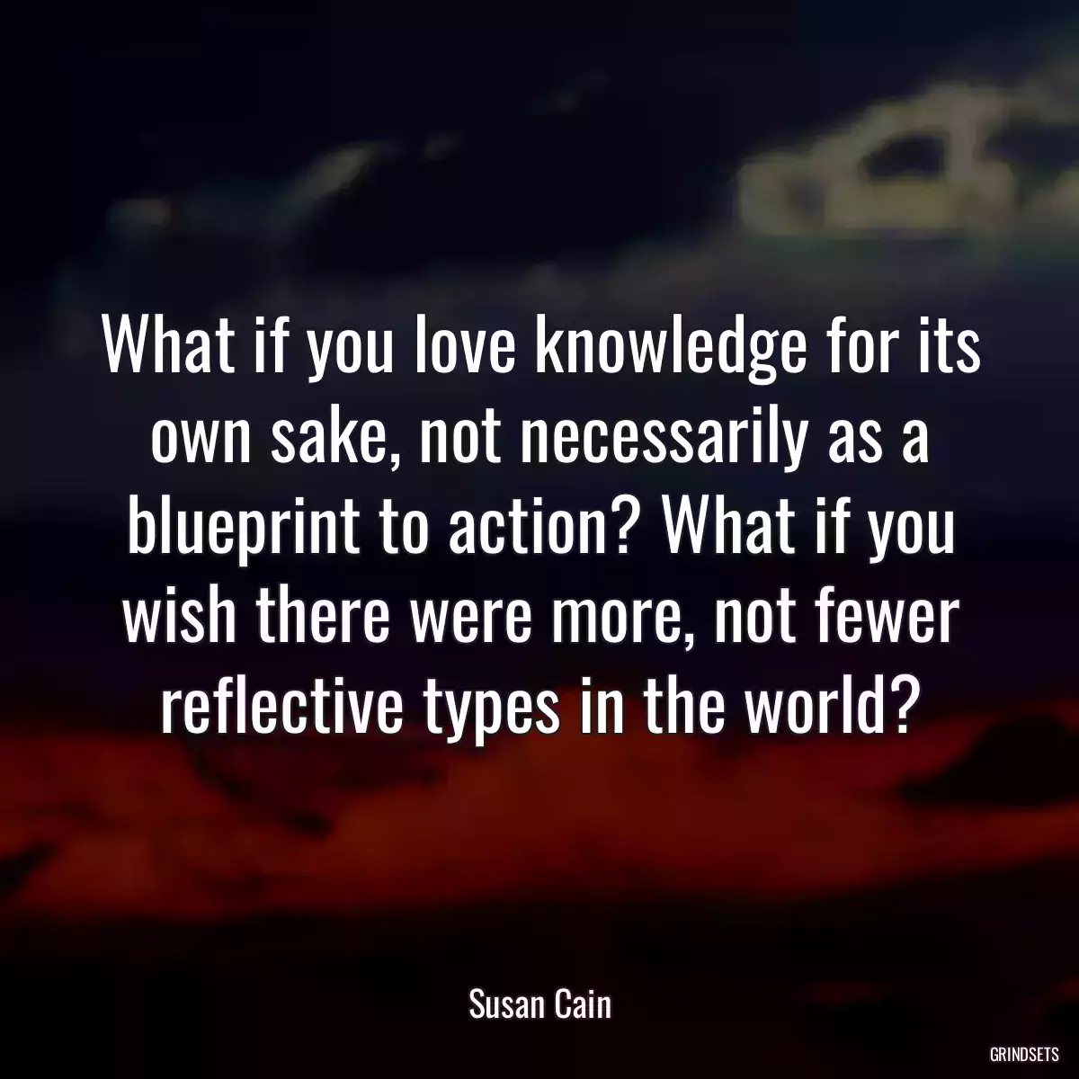 What if you love knowledge for its own sake, not necessarily as a blueprint to action? What if you wish there were more, not fewer reflective types in the world?