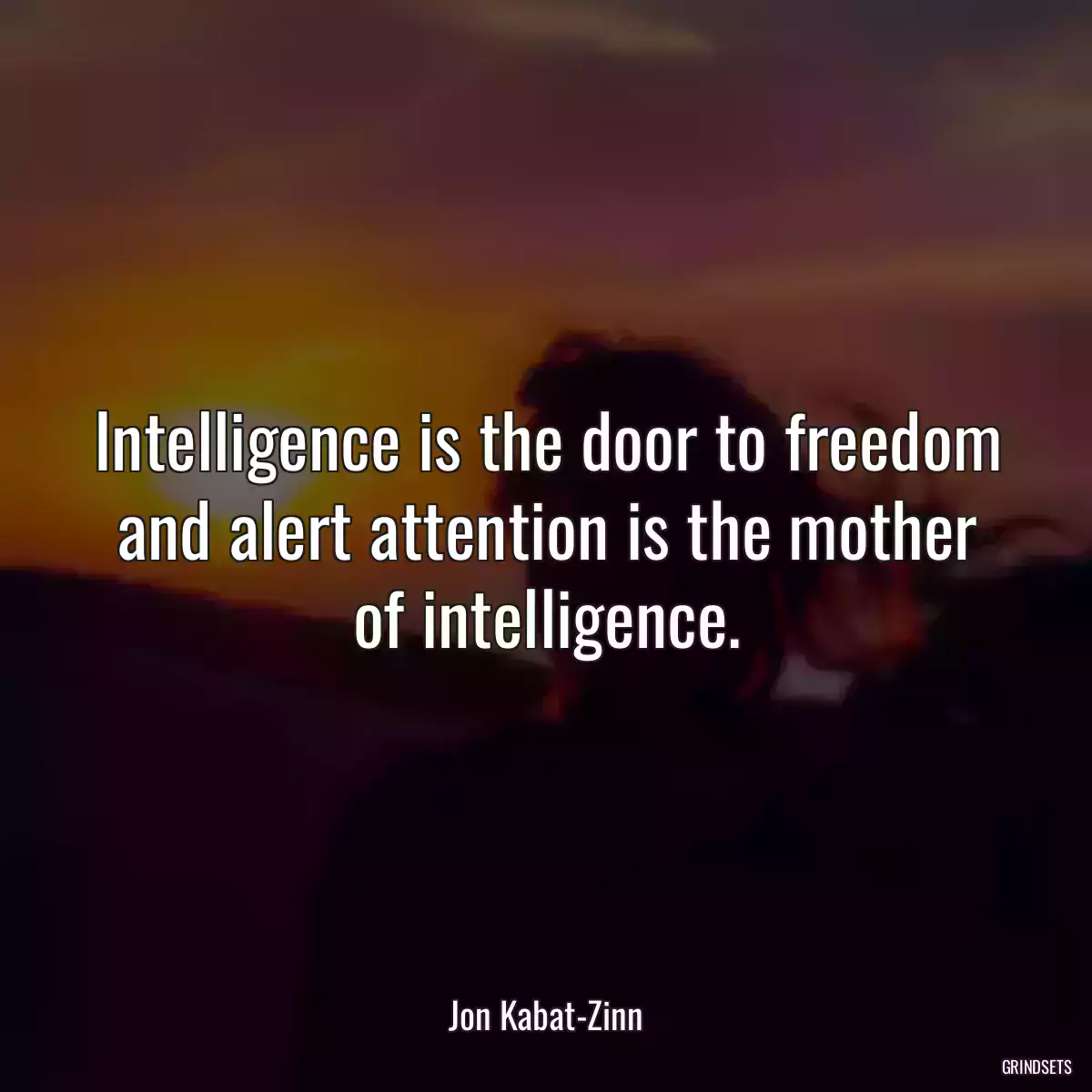 Intelligence is the door to freedom and alert attention is the mother of intelligence.