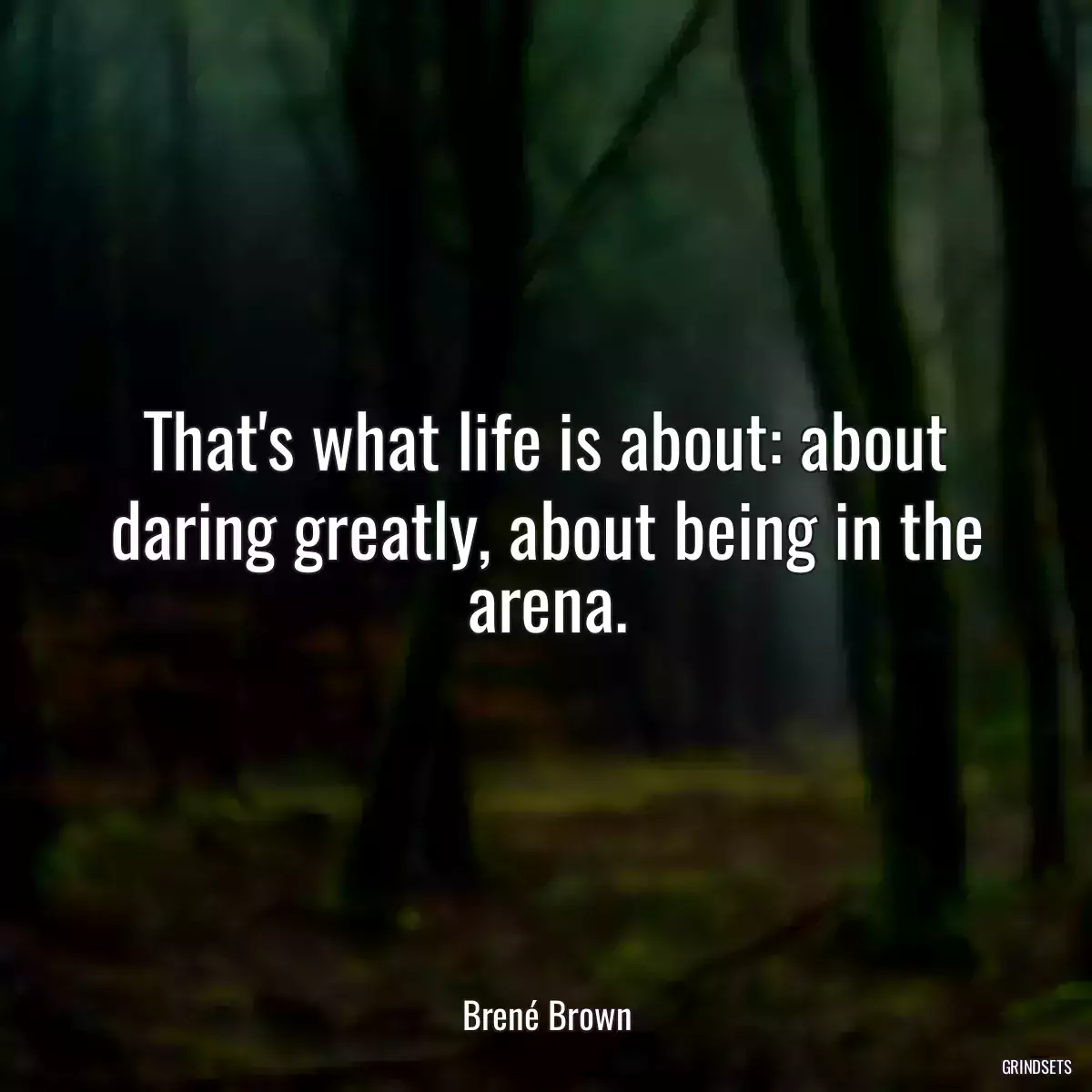 That\'s what life is about: about daring greatly, about being in the arena.