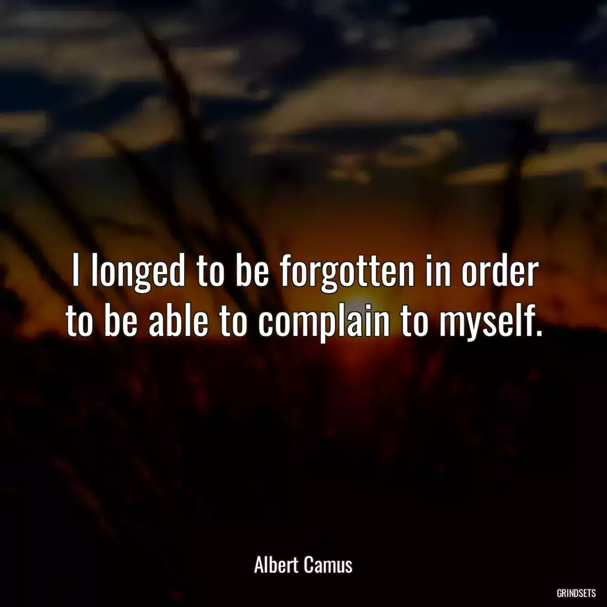 I longed to be forgotten in order to be able to complain to myself.