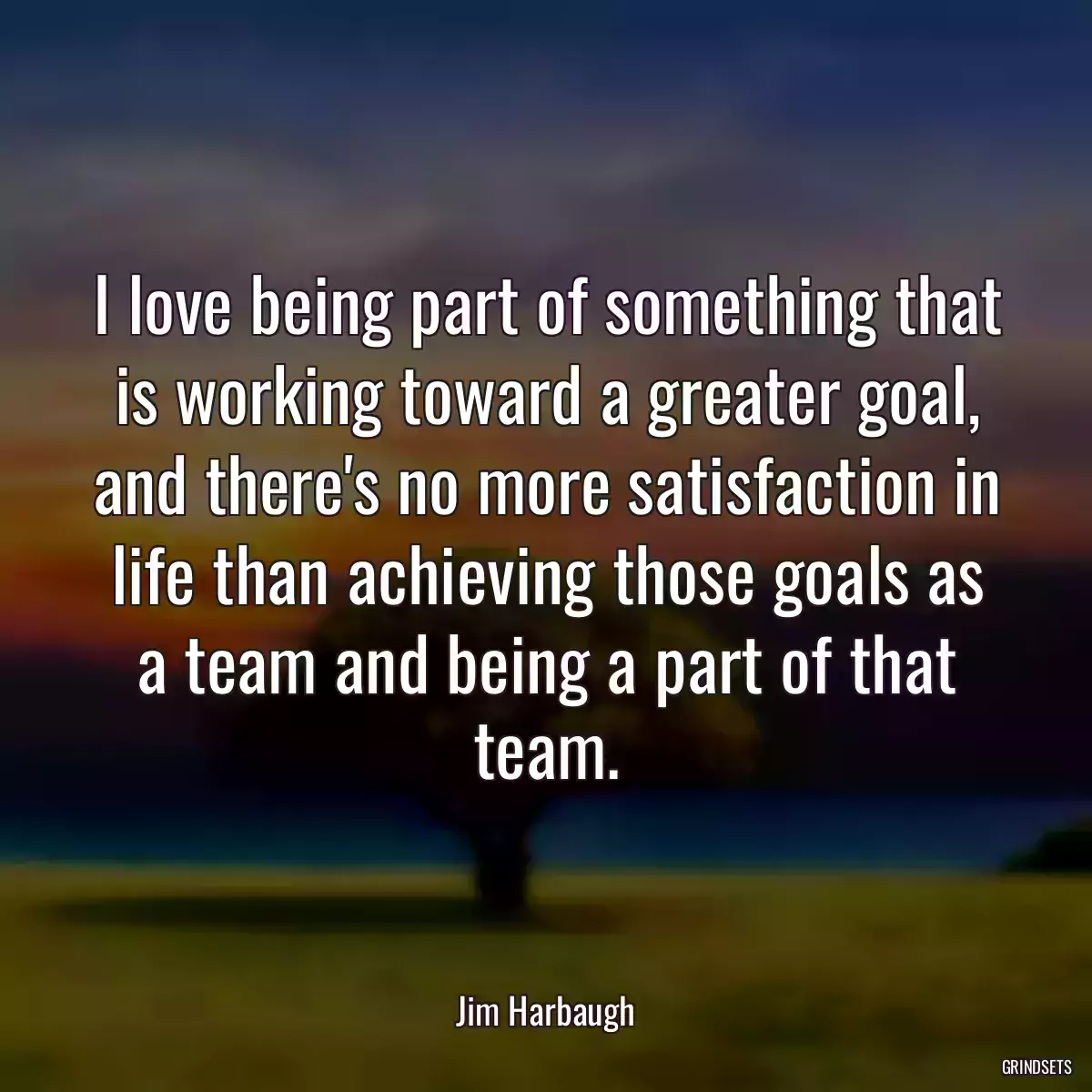 I love being part of something that is working toward a greater goal, and there\'s no more satisfaction in life than achieving those goals as a team and being a part of that team.