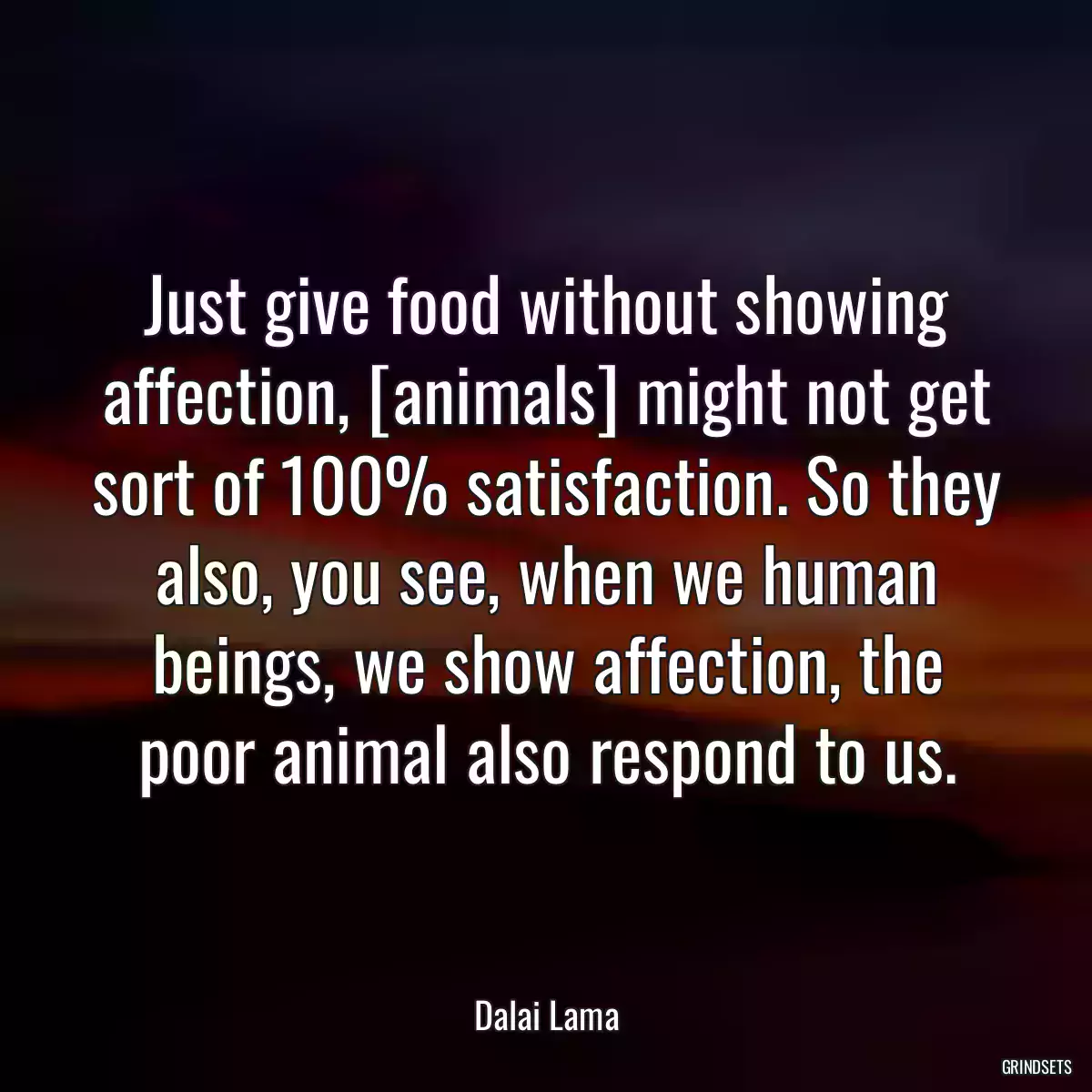 Just give food without showing affection, [animals] might not get sort of 100% satisfaction. So they also, you see, when we human beings, we show affection, the poor animal also respond to us.