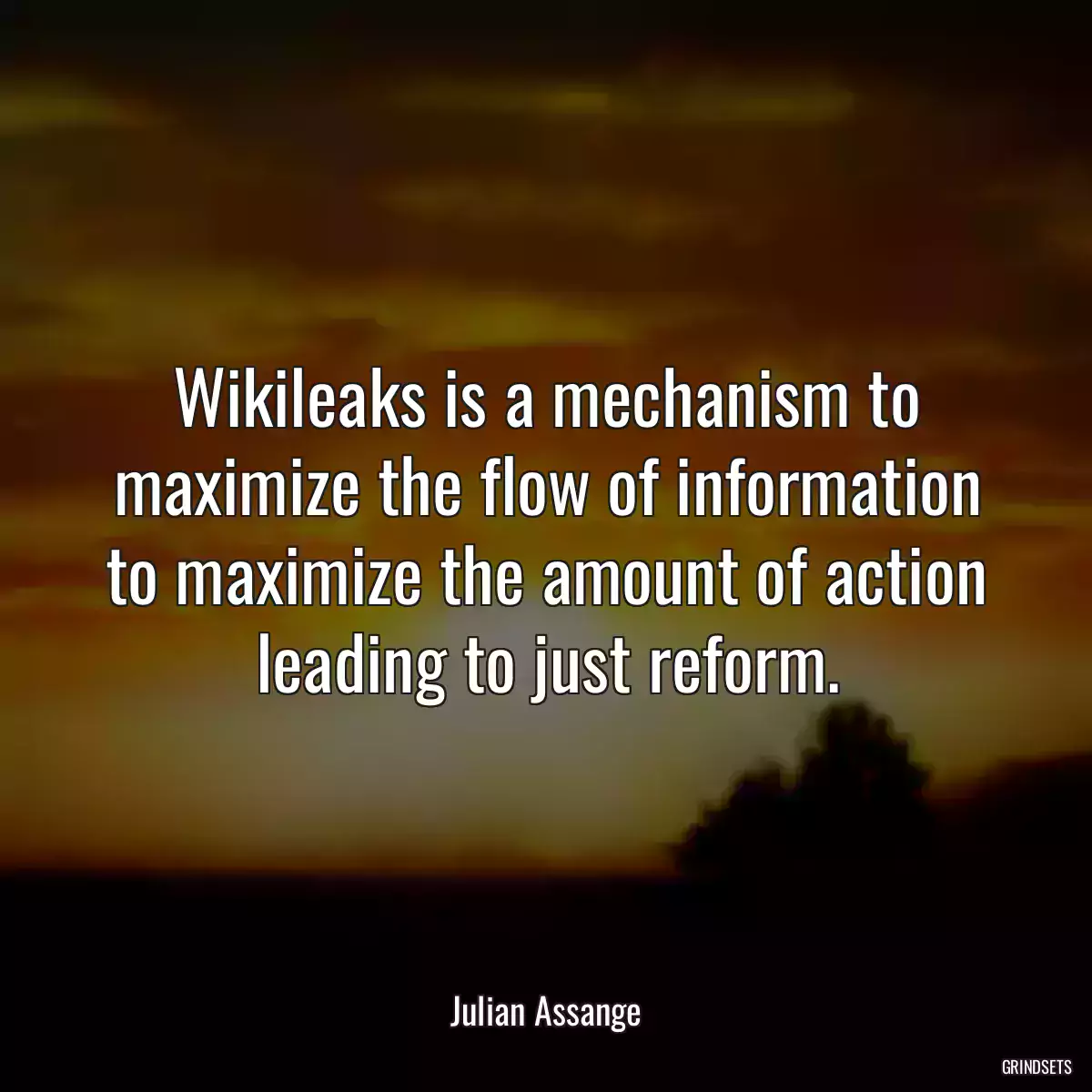 Wikileaks is a mechanism to maximize the flow of information to maximize the amount of action leading to just reform.