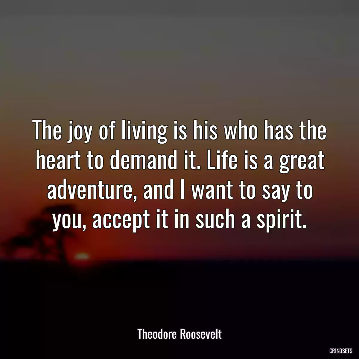 The joy of living is his who has the heart to demand it. Life is a great adventure, and I want to say to you, accept it in such a spirit.