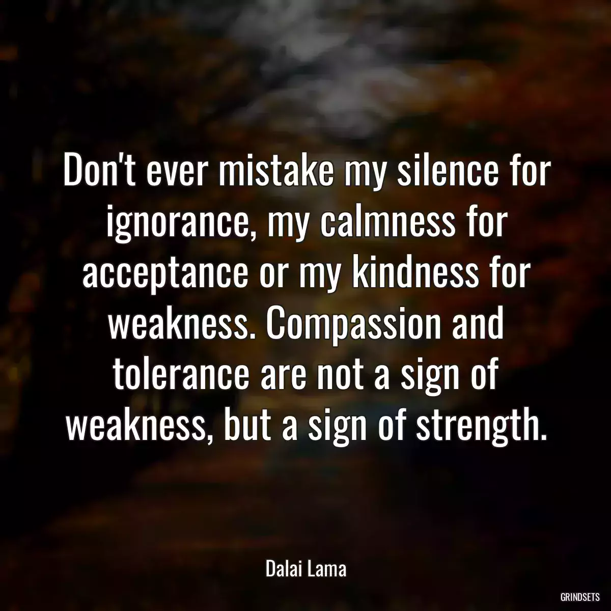 Don\'t ever mistake my silence for ignorance, my calmness for acceptance or my kindness for weakness. Compassion and tolerance are not a sign of weakness, but a sign of strength.