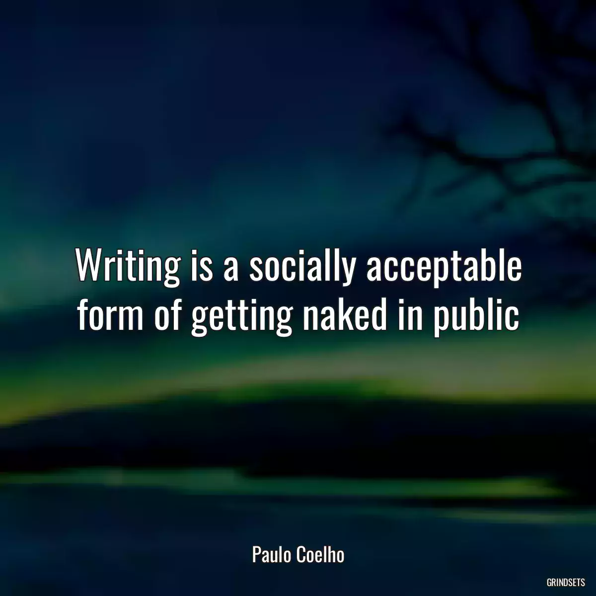 Writing is a socially acceptable form of getting naked in public