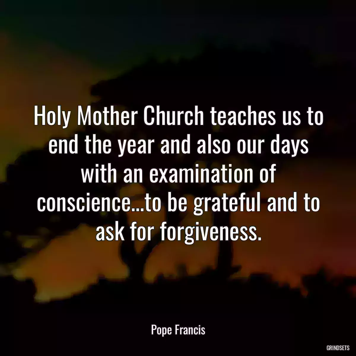 Holy Mother Church teaches us to end the year and also our days with an examination of conscience...to be grateful and to ask for forgiveness.