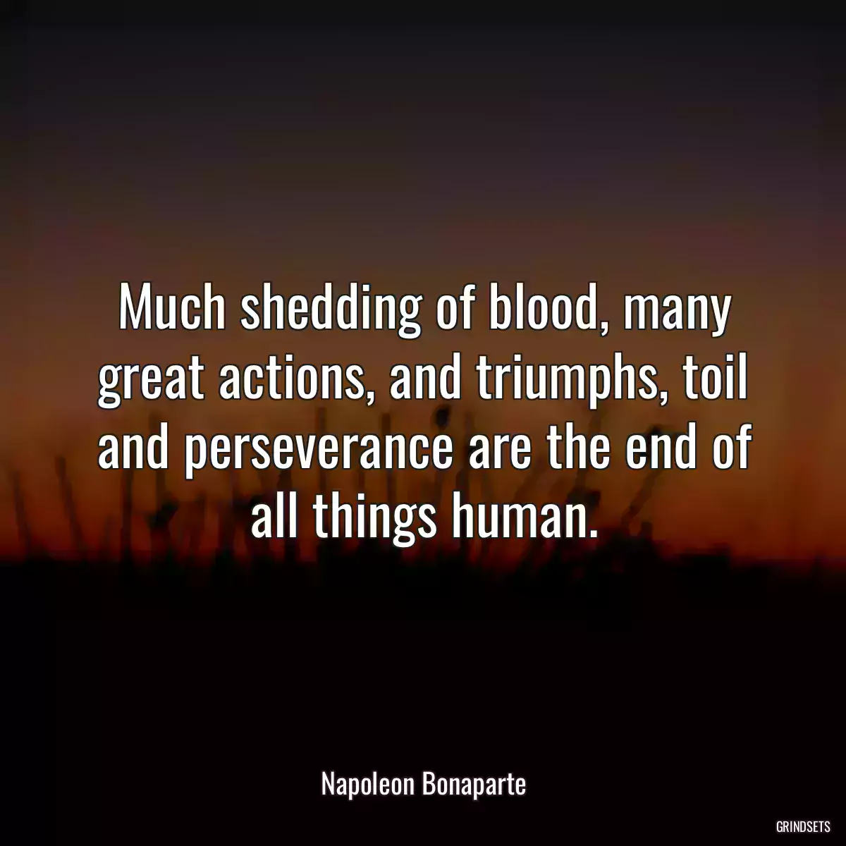 Much shedding of blood, many great actions, and triumphs, toil and perseverance are the end of all things human.