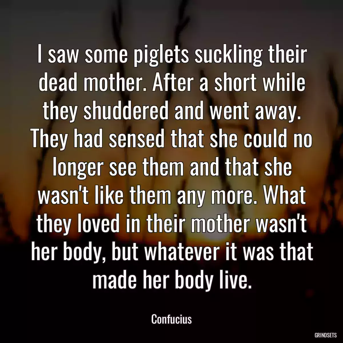 I saw some piglets suckling their dead mother. After a short while they shuddered and went away. They had sensed that she could no longer see them and that she wasn\'t like them any more. What they loved in their mother wasn\'t her body, but whatever it was that made her body live.