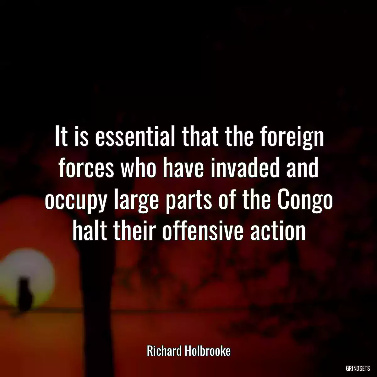 It is essential that the foreign forces who have invaded and occupy large parts of the Congo halt their offensive action