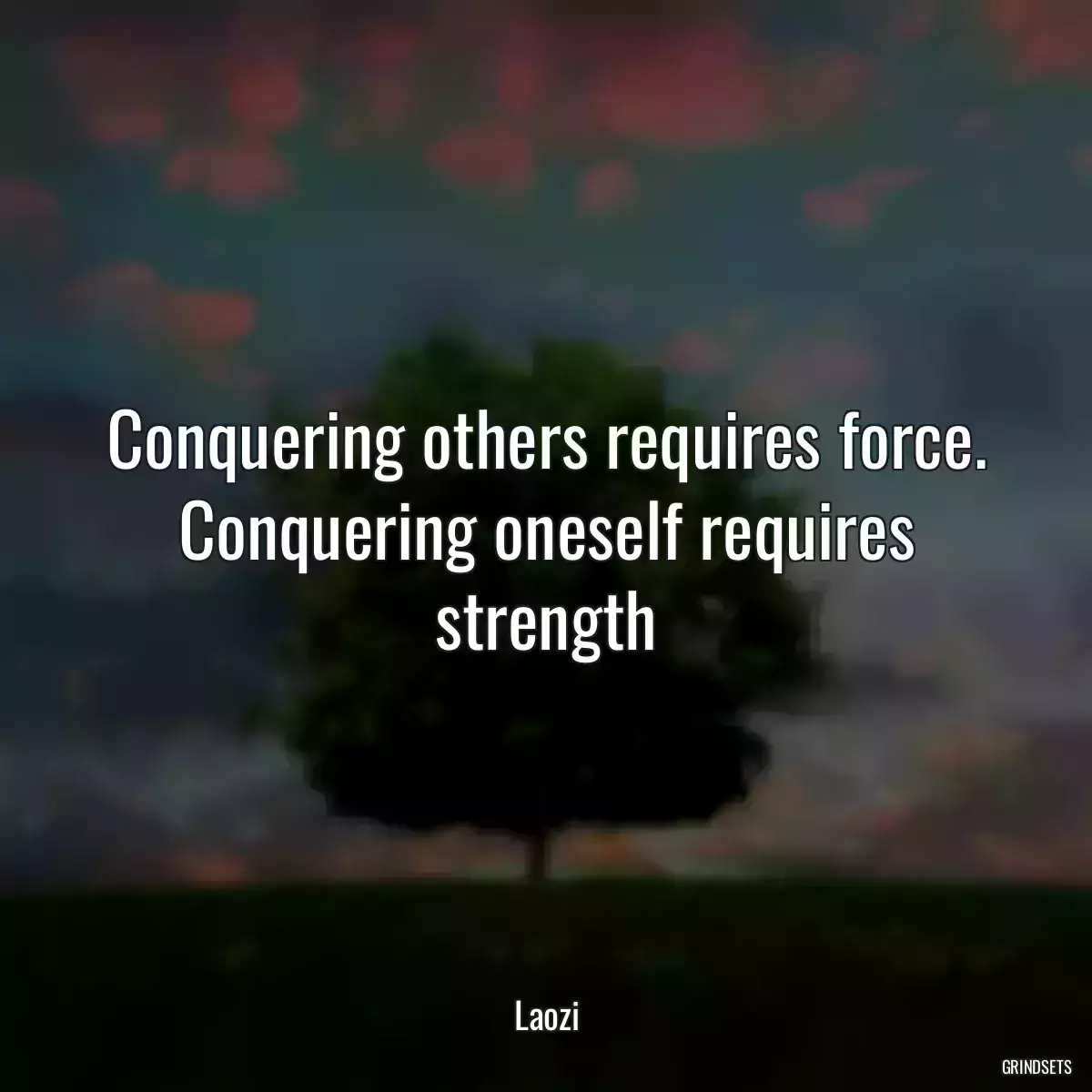 Conquering others requires force. Conquering oneself requires strength