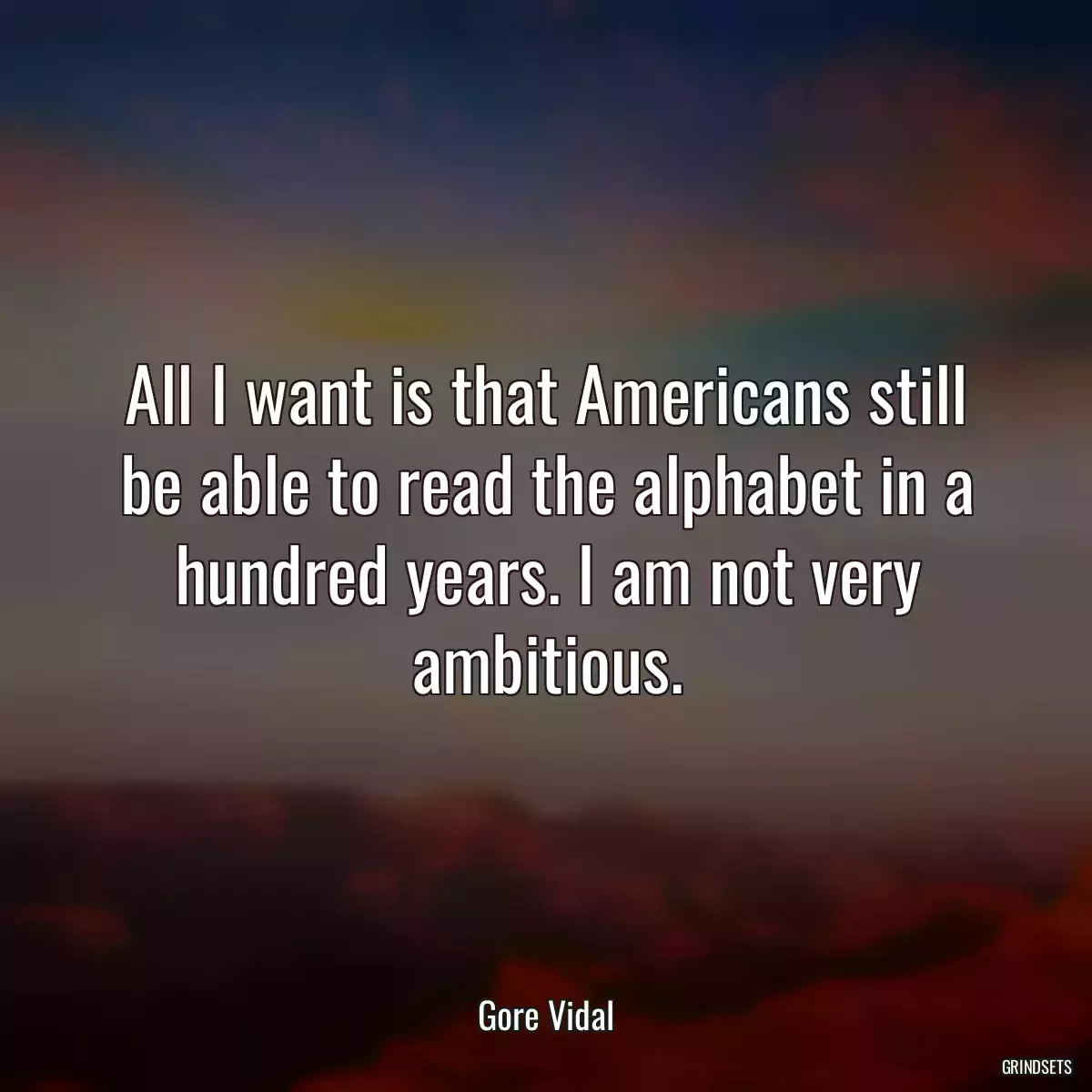 All I want is that Americans still be able to read the alphabet in a hundred years. I am not very ambitious.