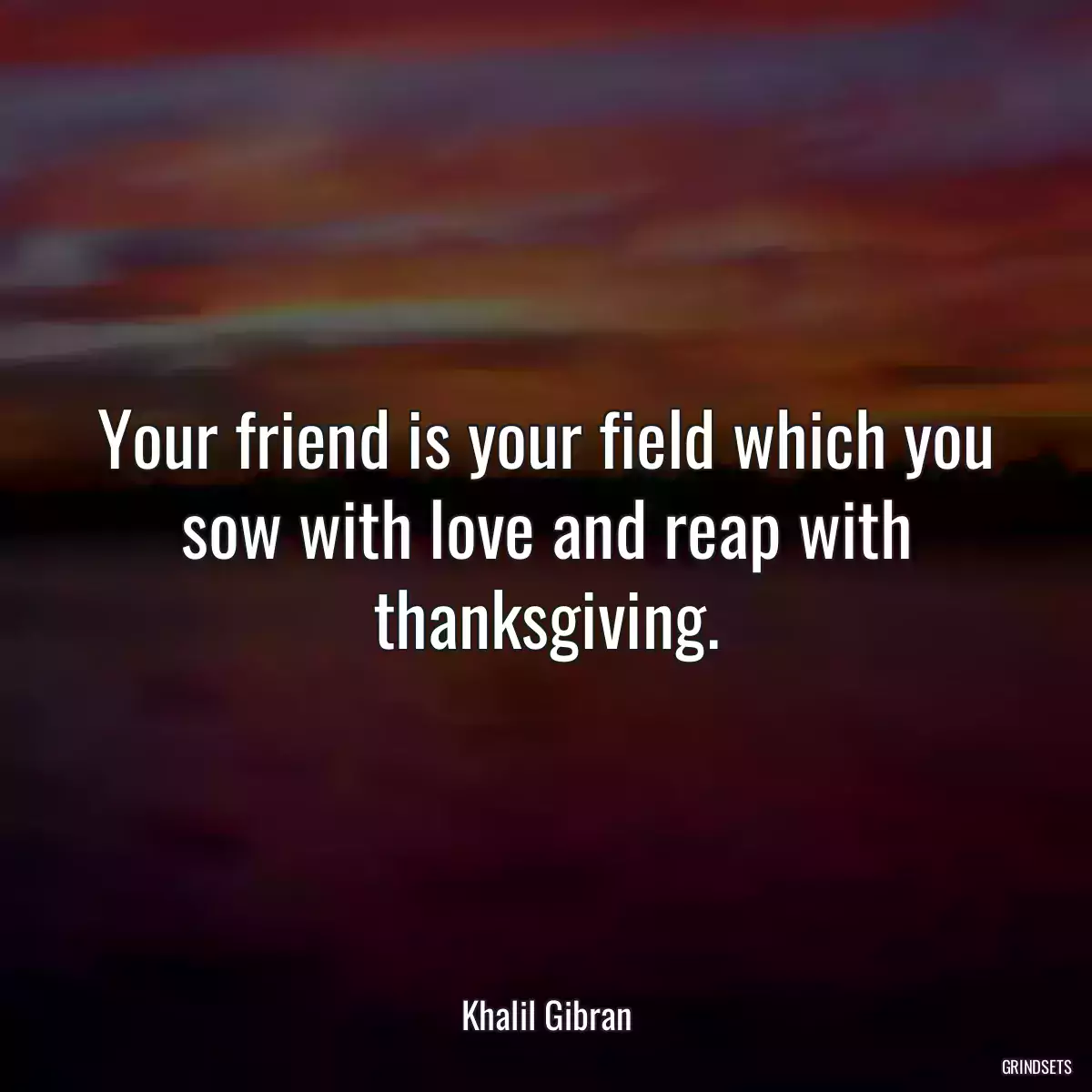 Your friend is your field which you sow with love and reap with thanksgiving.