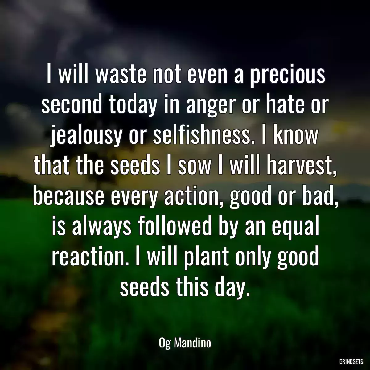 I will waste not even a precious second today in anger or hate or jealousy or selfishness. I know that the seeds I sow I will harvest, because every action, good or bad, is always followed by an equal reaction. I will plant only good seeds this day.