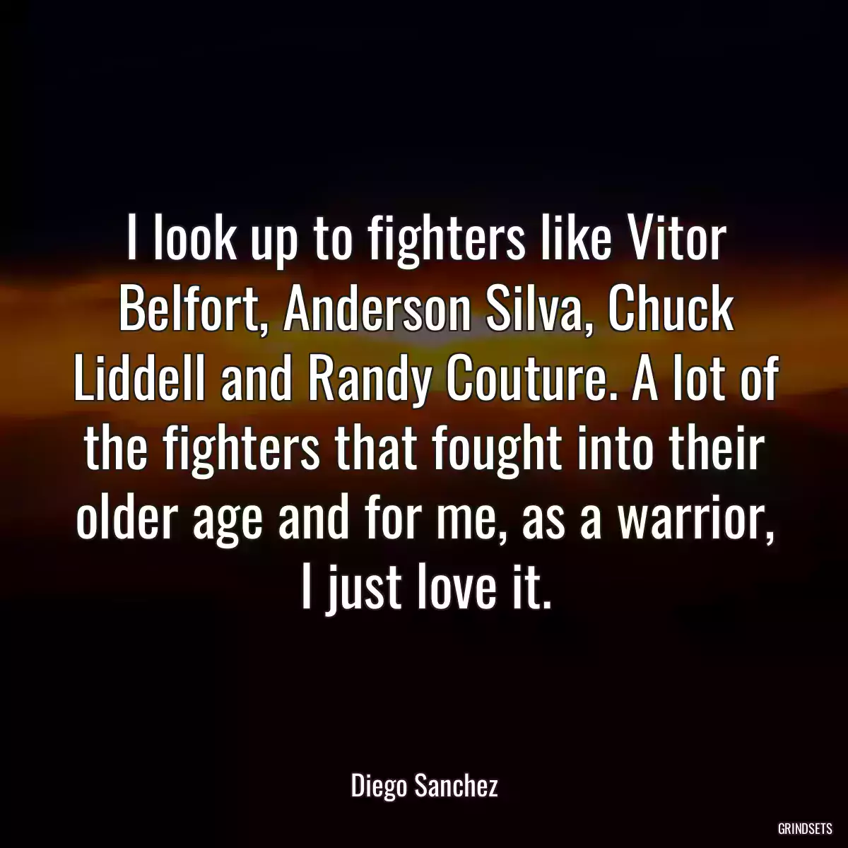 I look up to fighters like Vitor Belfort, Anderson Silva, Chuck Liddell and Randy Couture. A lot of the fighters that fought into their older age and for me, as a warrior, I just love it.