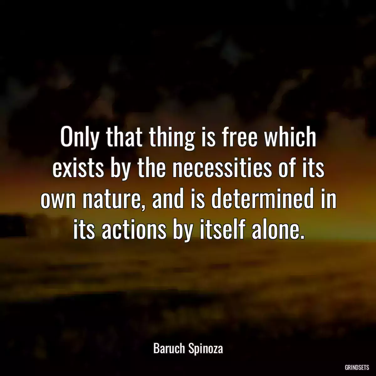 Only that thing is free which exists by the necessities of its own nature, and is determined in its actions by itself alone.