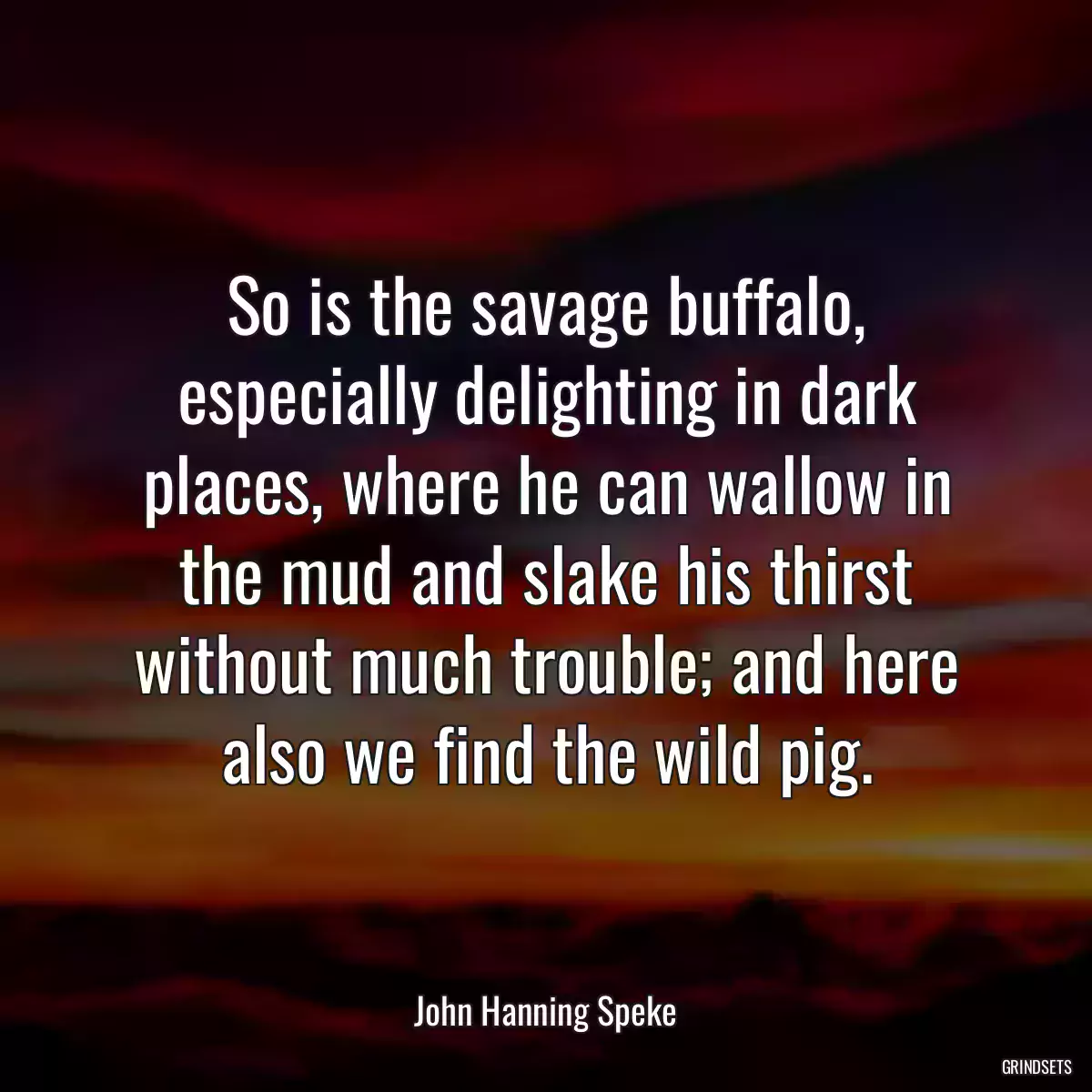 So is the savage buffalo, especially delighting in dark places, where he can wallow in the mud and slake his thirst without much trouble; and here also we find the wild pig.