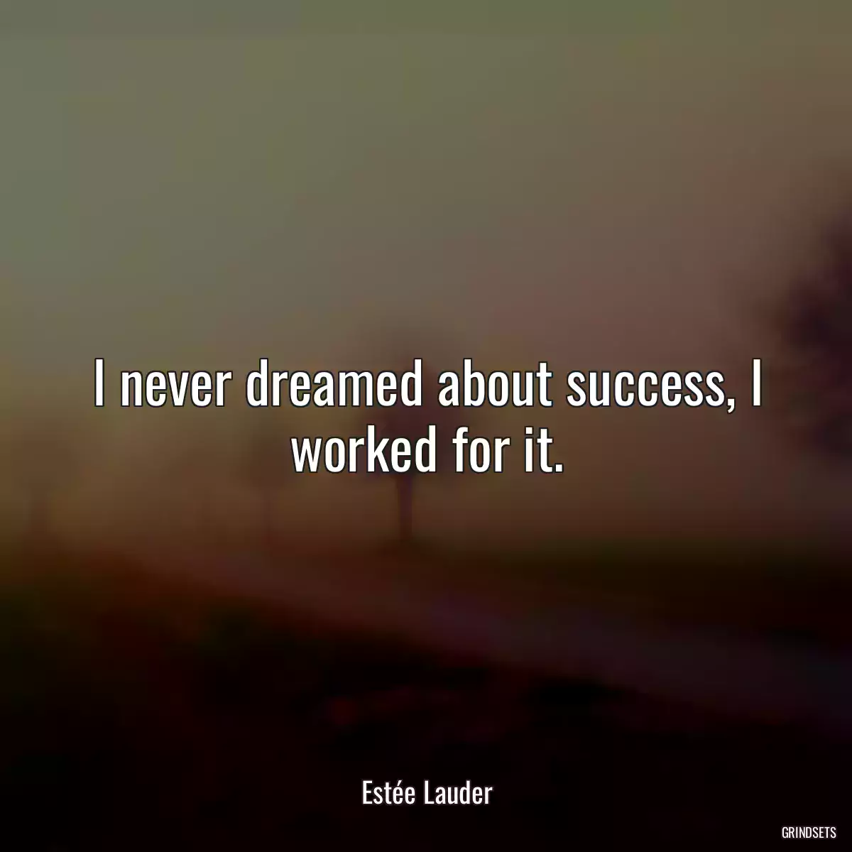 I never dreamed about success, I worked for it.