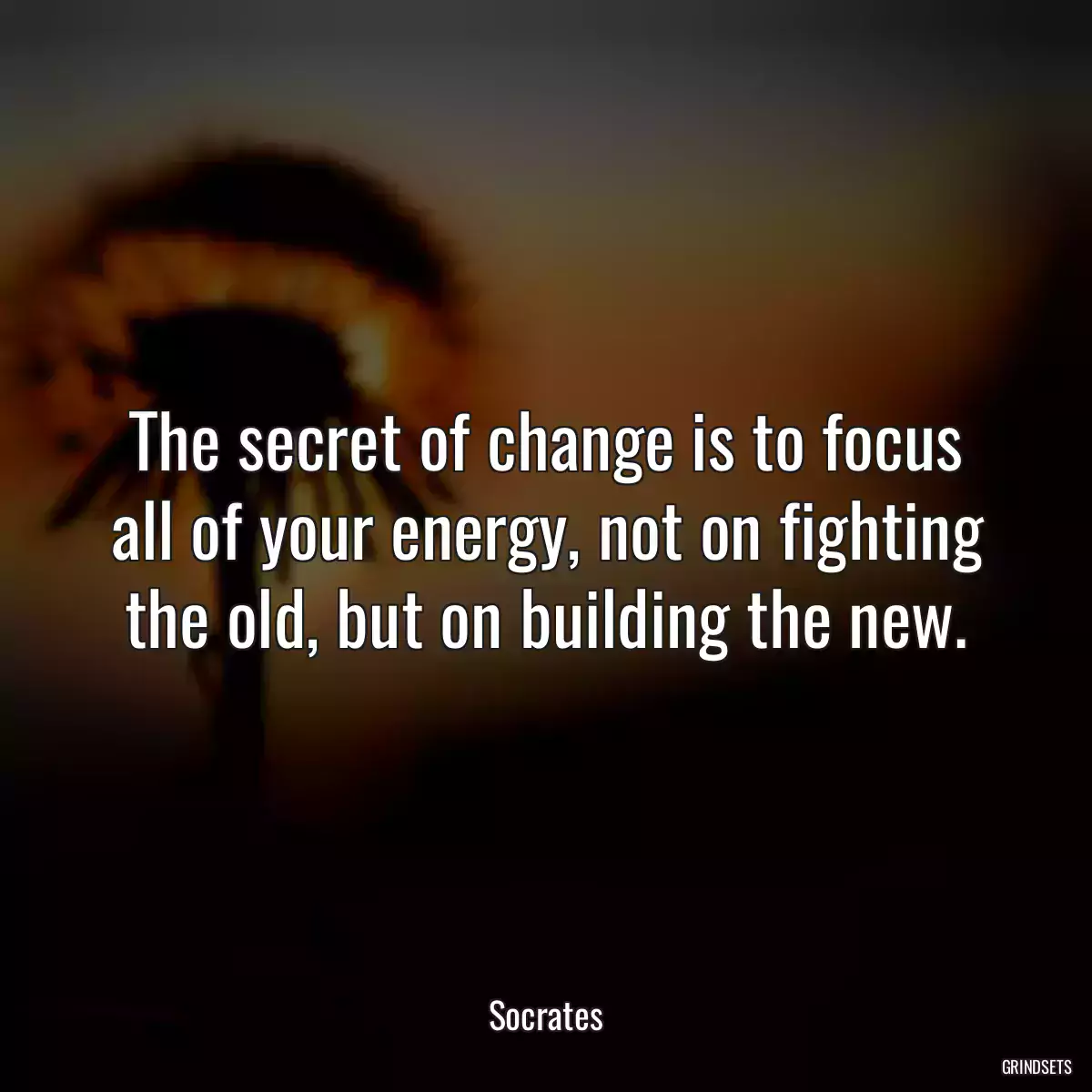 The secret of change is to focus all of your energy, not on fighting the old, but on building the new.